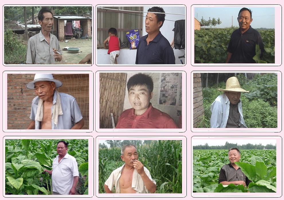 松土促根劑，用口碑說話。