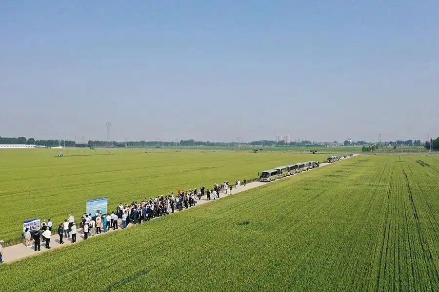 土壤調理劑全面解析：從科學原理到精準應用指南