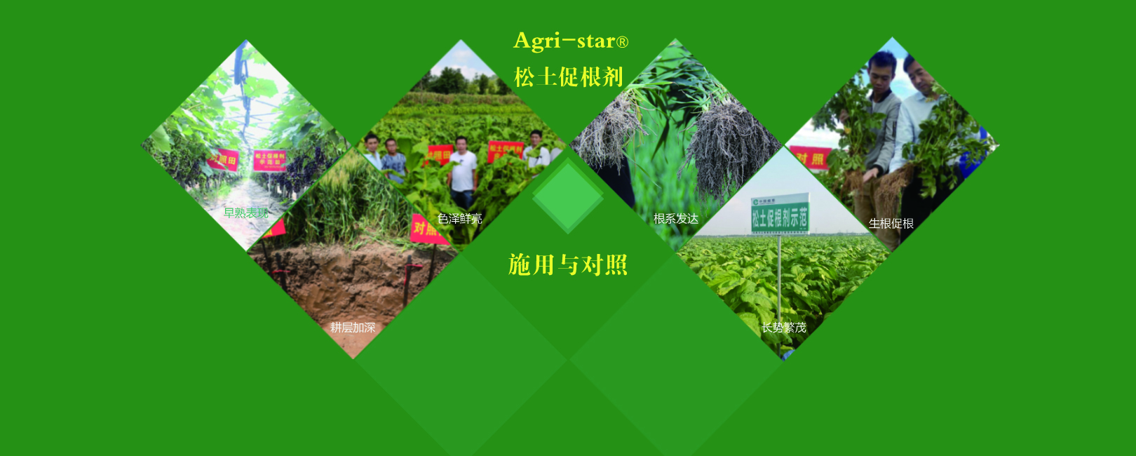 電腦幻燈1-2